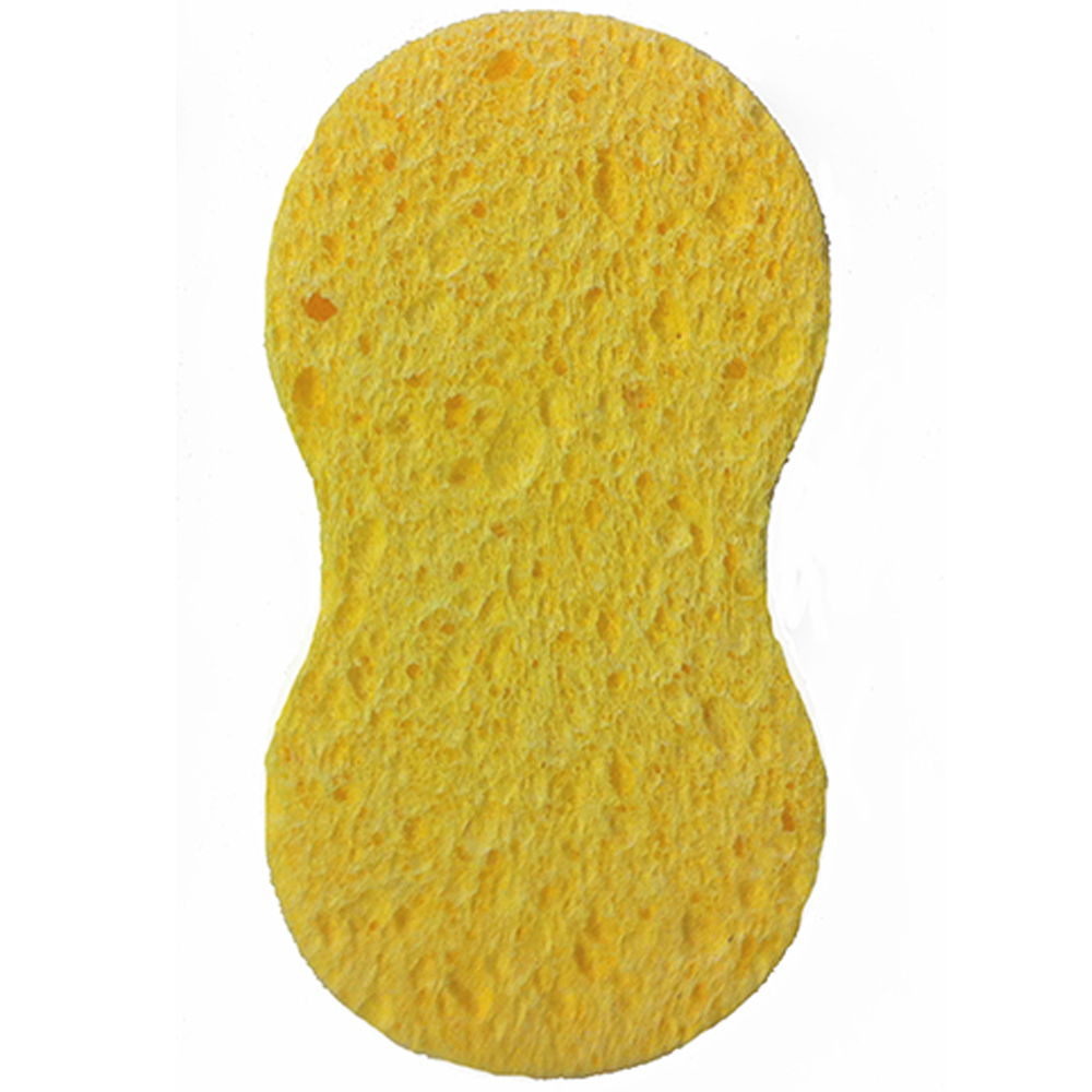 Polish Sponge